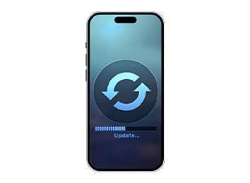 Software Glitch Repair